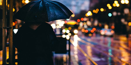 塔斯马尼亚联多点开花，备战进攻火力爆发