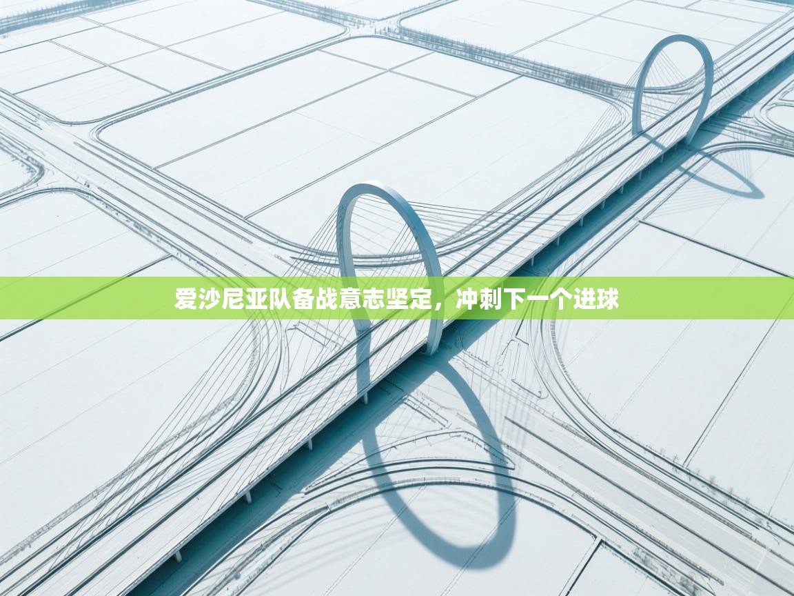 爱沙尼亚队备战意志坚定，冲刺下一个进球  第1张