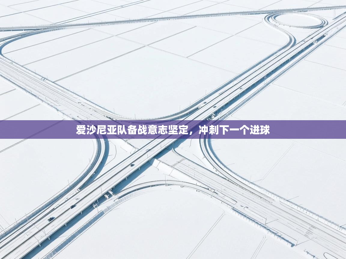 爱沙尼亚队备战意志坚定，冲刺下一个进球  第2张